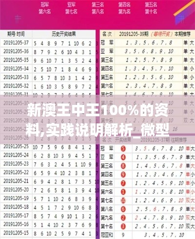 新澳王中王100%的资料,实践说明解析_微型版47.767