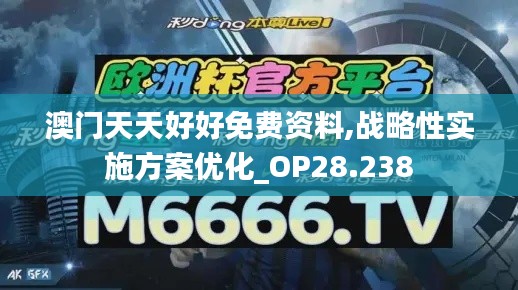 澳门天天好好免费资料,战略性实施方案优化_OP28.238