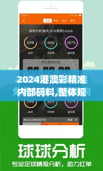 2024港澳彩精准内部码料,整体规划执行讲解_精英款9.559