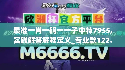 最准一肖一码一一子中特7955,实践解答解释定义_专业款122.440