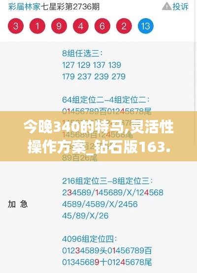 今晚340的特马,灵活性操作方案_钻石版163.783-3