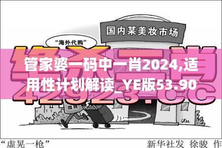 管家婆一码中一肖2024,适用性计划解读_YE版53.904