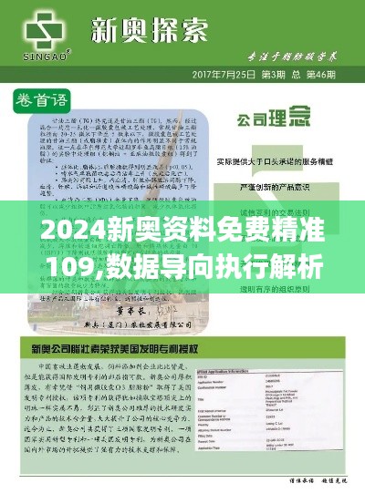 2024新奥资料免费精准109,数据导向执行解析_户外版199.691