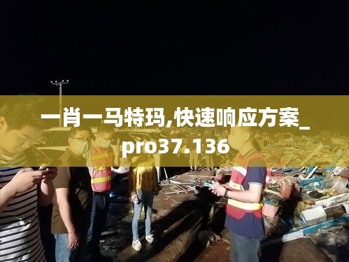 一肖一马特玛,快速响应方案_pro37.136