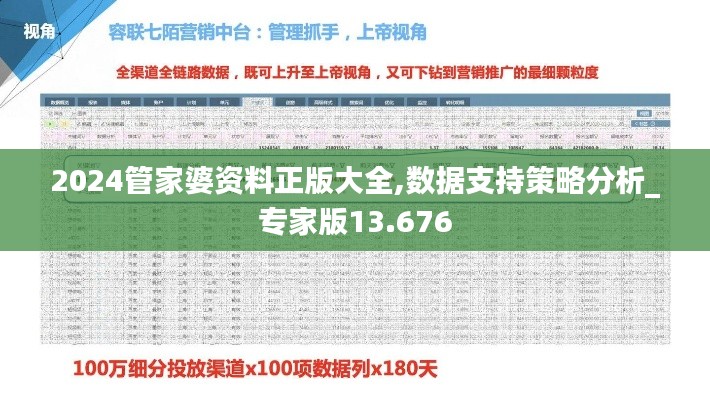 2024管家婆资料正版大全,数据支持策略分析_专家版13.676