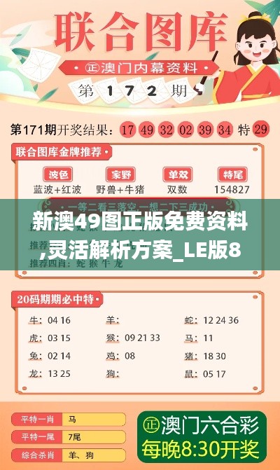 新澳49图正版免费资料,灵活解析方案_LE版89.566