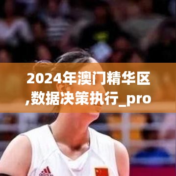 2024年澳门精华区,数据决策执行_pro10.302