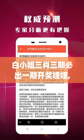 白小姐三肖三期必出一期开奖哩哩,实地评估数据策略_静态版43.238