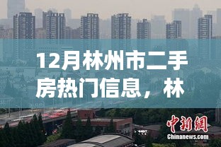 林州市12月二手房市场热门信息及市场火热概述