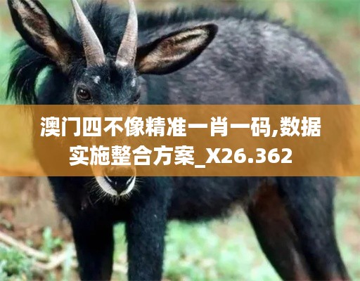 澳门四不像精准一肖一码,数据实施整合方案_X26.362