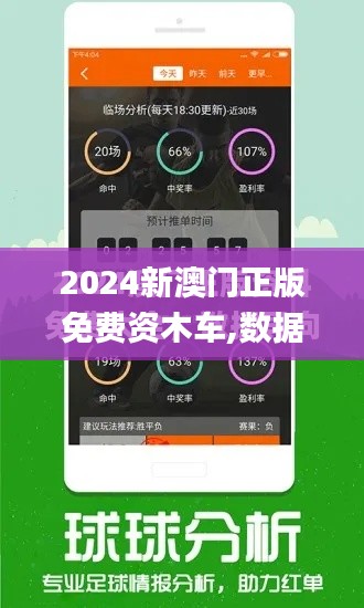 2024新澳门正版免费资木车,数据引导计划设计_旗舰版40.300