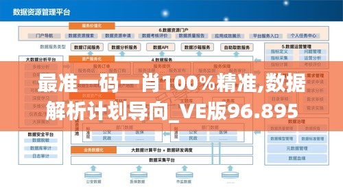 最准一码一肖100%精准,数据解析计划导向_VE版96.895