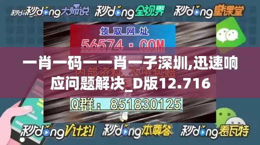 一肖一码一一肖一子深圳,迅速响应问题解决_D版12.716