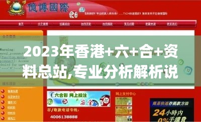 2023年香港+六+合+资料总站,专业分析解析说明_精简版12.591