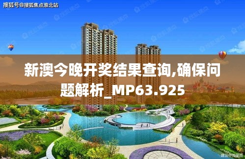 新澳今晚开奖结果查询,确保问题解析_MP63.925