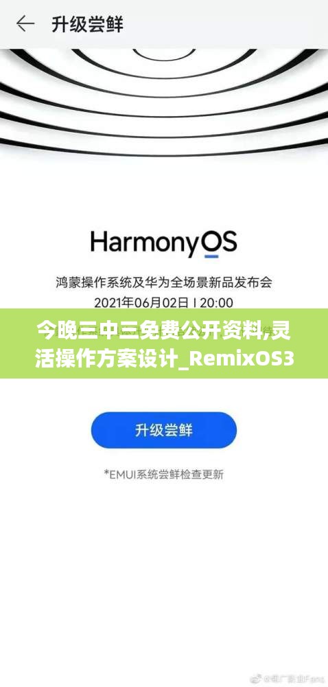 今晚三中三免费公开资料,灵活操作方案设计_RemixOS30.198