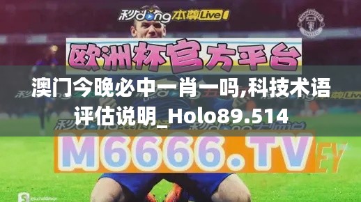 澳门今晚必中一肖一吗,科技术语评估说明_Holo89.514