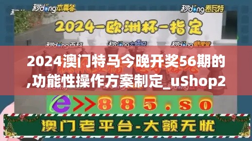 2024澳门特马今晚开奖56期的,功能性操作方案制定_uShop21.277