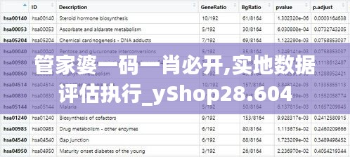 管家婆一码一肖必开,实地数据评估执行_yShop28.604