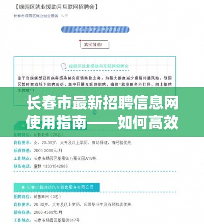 长春市最新招聘信息网使用指南，高效获取往年招聘信息攻略