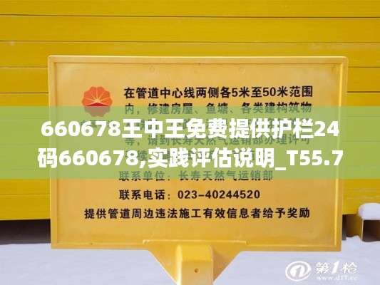 660678王中王免费提供护栏24码660678,实践评估说明_T55.701