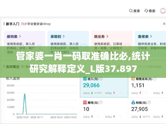 管家婆一肖一码取准确比必,统计研究解释定义_L版37.897