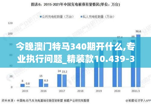 今晚澳门特马340期开什么,专业执行问题_精装款10.439-3