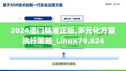 2024澳门精准正版,多元化方案执行策略_Linux79.824