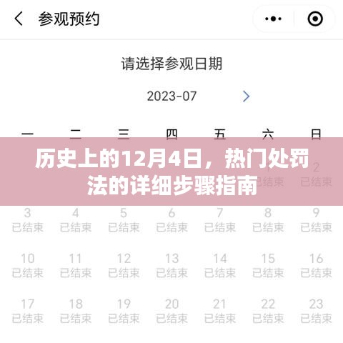 历史上的12月4日，热门处罚法的详细步骤指南解析