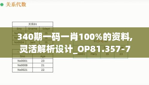 340期一码一肖100%的资料,灵活解析设计_OP81.357-7