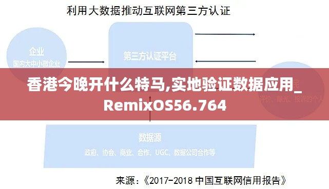 香港今晚开什么特马,实地验证数据应用_RemixOS56.764