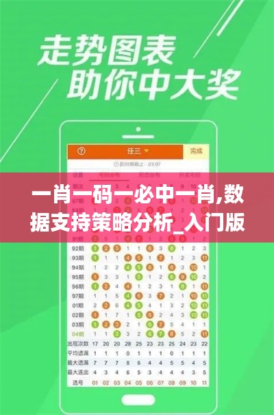 一肖一码一必中一肖,数据支持策略分析_入门版32.107