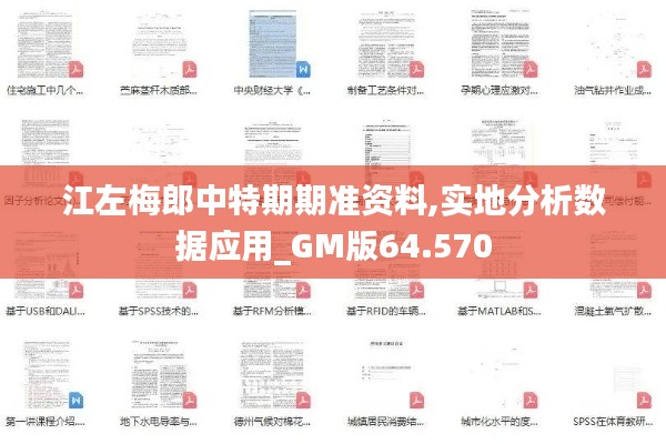 江左梅郎中特期期准资料,实地分析数据应用_GM版64.570