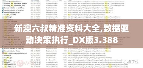 新澳六叔精准资料大全,数据驱动决策执行_DX版3.388