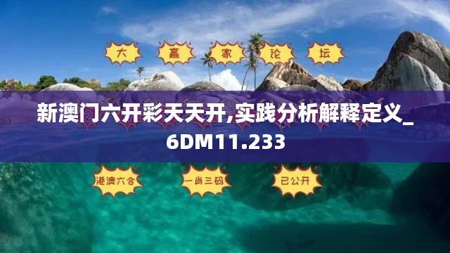 新澳门六开彩天天开,实践分析解释定义_6DM11.233