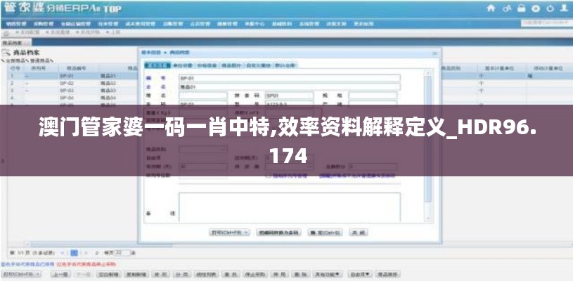 澳门管家婆一码一肖中特,效率资料解释定义_HDR96.174