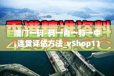 澳门一码-码一肖一特一中,连贯评估方法_vShop11.183