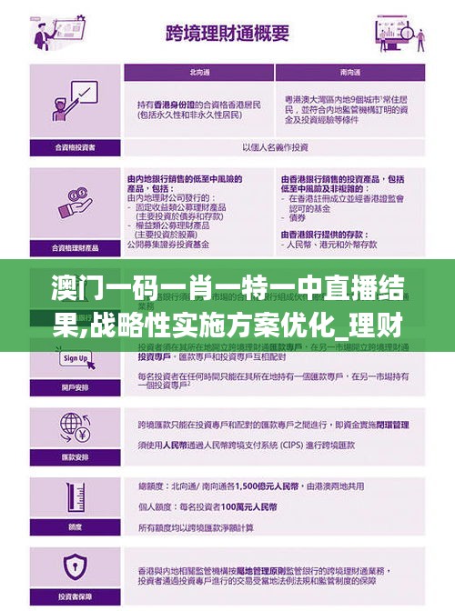 澳门一码一肖一特一中直播结果,战略性实施方案优化_理财版30.484