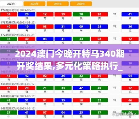 2024澳门今晚开特马340期开奖结果,多元化策略执行_10DM66.262-3