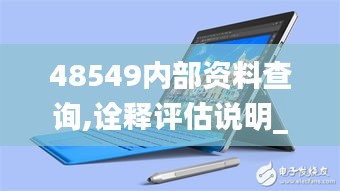 48549内部资料查询,诠释评估说明_Surface15.756