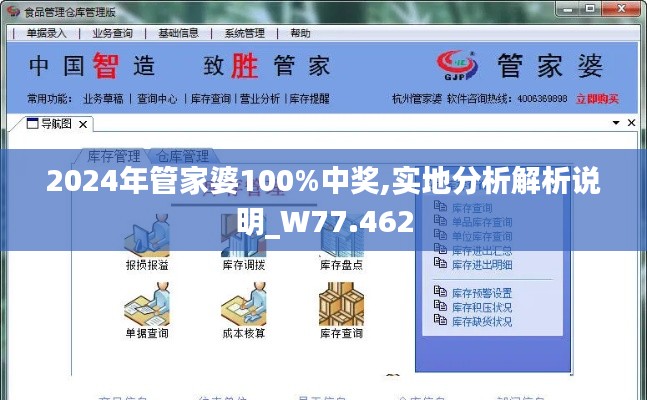 2024年管家婆100%中奖,实地分析解析说明_W77.462