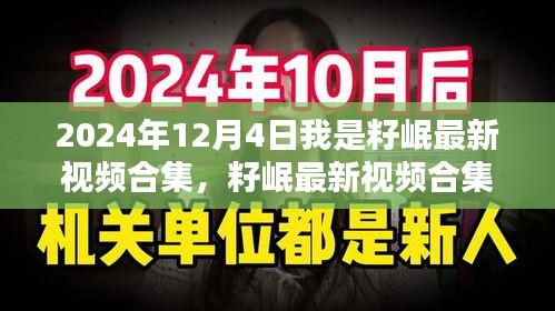 2024年12月4日籽岷最新视频合集深度评测，独特体验一览