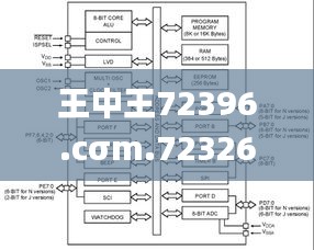 王中王72396.cσm.72326查询精选16码一,高效评估方法_苹果版64.956