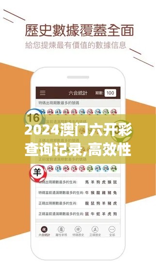 2024澳门六开彩查询记录,高效性实施计划解析_The66.829