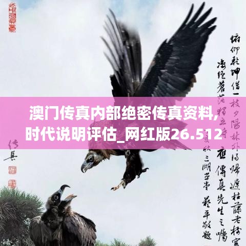 澳门传真内部绝密传真资料,时代说明评估_网红版26.512