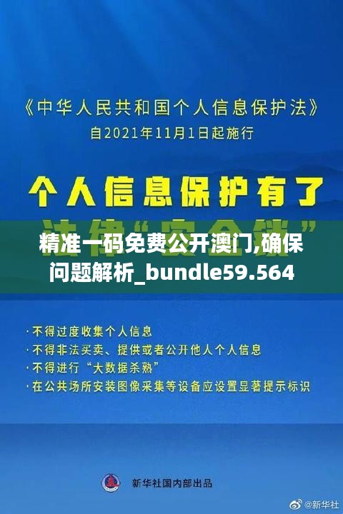 精准一码免费公开澳门,确保问题解析_bundle59.564