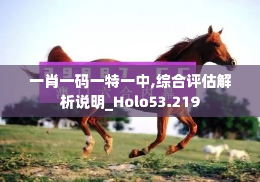 一肖一码一特一中,综合评估解析说明_Holo53.219