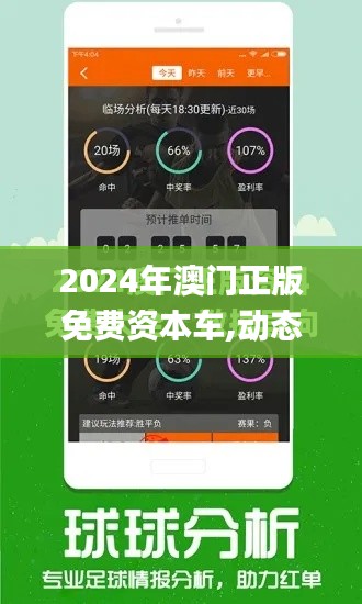 2024年澳门正版免费资本车,动态说明分析_RemixOS39.967