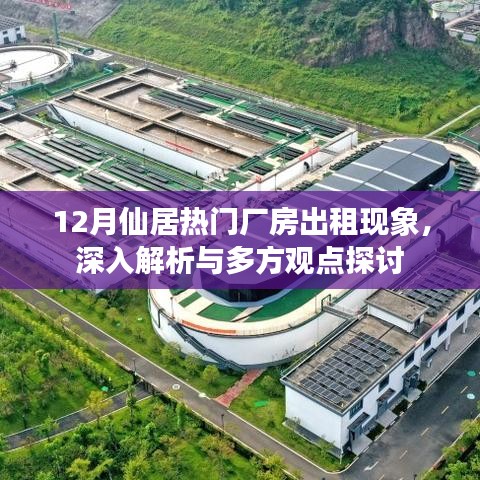 12月仙居热门厂房出租现象深度解析与多方观点探讨