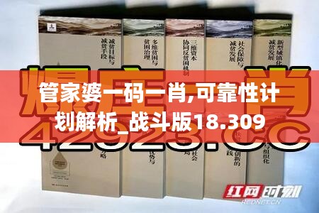 管家婆一码一肖,可靠性计划解析_战斗版18.309